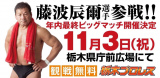 藤波辰爾&LEONA参戦！  栃木プロレス　初のビッグマッチ　全カード&市町長表敬訪問シリーズ第12弾、第13弾